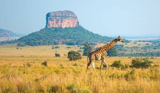 Limpopo